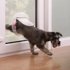 Petsafe 200 Kattenluik - Wit - L - 29,4 X 29,5 X 5 Cm -Kattenspeelgoed Winkel 1200x1200 641