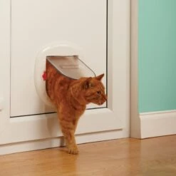 Petsafe 200 Kattenluik - Wit - L - 29,4 X 29,5 X 5 Cm -Kattenspeelgoed Winkel 1200x1200 642