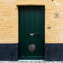 Cellavi XL Kattenluik Zwart Met Tunnel - Hondenluik - 4 Vergrendelingsstanden - 30,5 X 27,5 X 7,5 Cm -Kattenspeelgoed Winkel 1200x1200 647