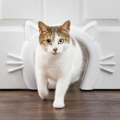 PetSafe Staywell® Cat Corridor - Kattendoorgang Voor Binnenshuis - Overschilderbaar Design - Voor Katten Tot 9 Kg - Staywell Cat Corridor -Kattenspeelgoed Winkel 1200x1200 670
