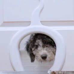 PetSafe Staywell® Cat Corridor - Kattendoorgang Voor Binnenshuis - Overschilderbaar Design - Voor Katten Tot 9 Kg - Staywell Cat Corridor -Kattenspeelgoed Winkel 1200x1200 671