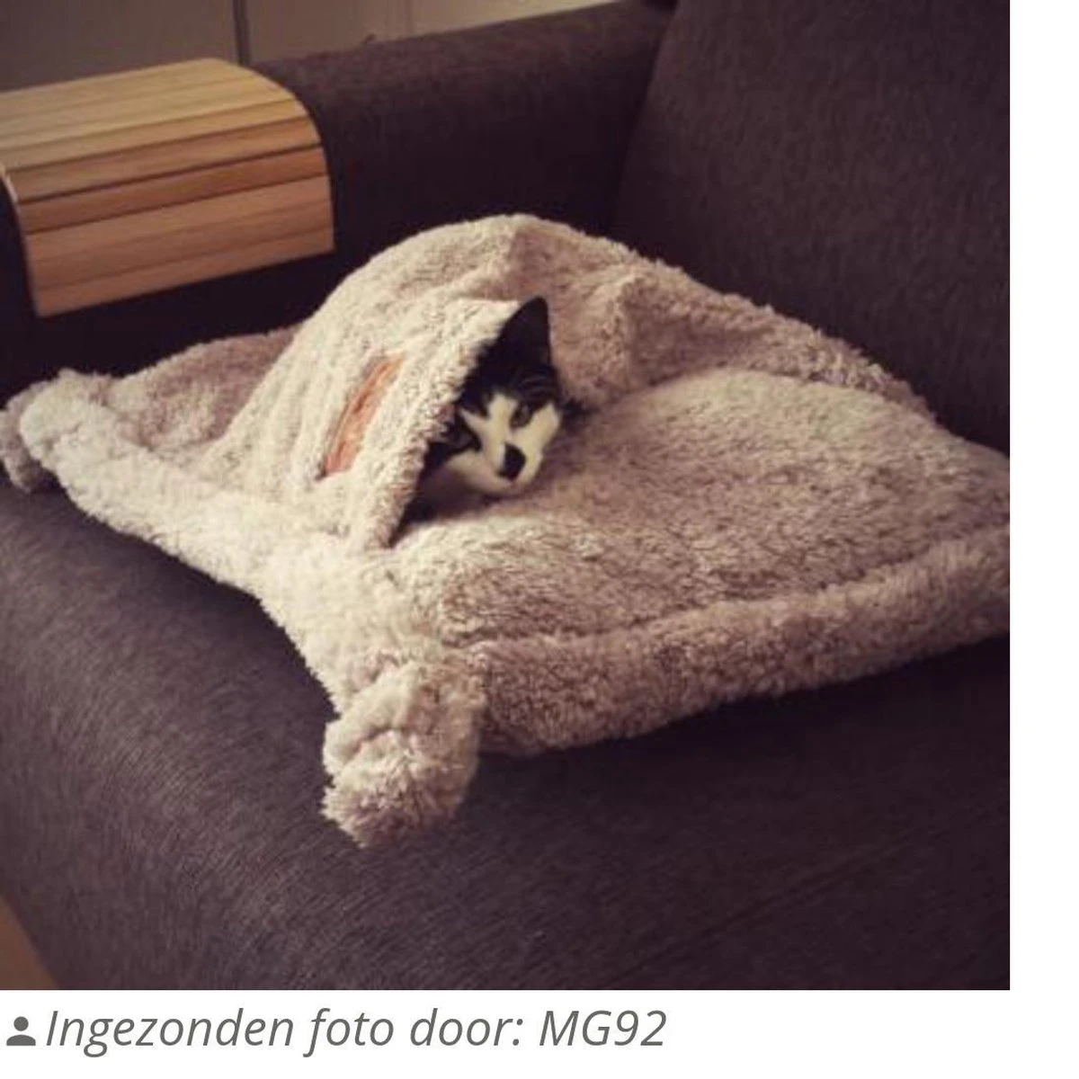 Happy Pet Hugs Snuggle Kattenslaapzak - Grijs - 50 X 50 Cm 4 Happy Pet Hugs Snuggle Kattenslaapzak - Grijs - 50 X 50 Cm - Afbeelding 2