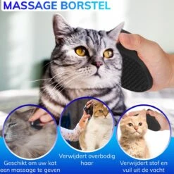 Kattenhangmat - Hangmat Kat- Kattenhangmat Raam – Kattenbed - Kattenhangmand - Kattenkussen -Kattenspeelgoed Winkel 1200x1200 697