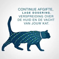 Seresto Teken- En Vlooienband - Anti Tekenmiddel - Kat - 38 Cm 31 Seresto Teken- En Vlooienband - Anti Tekenmiddel - Kat - 38 Cm -Kattenspeelgoed Winkel 1200x1200 7