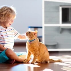 Relaxdays Kattenhuis Buiten - Groot Kattenhok Binnen - Hoog Kattenmeubel Grijs Hout - Tuin -Kattenspeelgoed Winkel 1200x1200 704