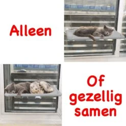 Merkloos Kattenhangmat - Kattenbed - Hangmat Kat Raam Ook Voor Radiator En Deur - Kattenmand Raam En Radiator - Katten Hangmat - Radiatorhangmat Kat Kattenstoel - Tijdelijk Met Extra Hangmat Hoes -Kattenspeelgoed Winkel 1200x1200 749