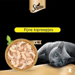 Sheba Filets - Katten Natvoer In Saus - Kipfilet Stukjes - 16 X 60 Gr -Kattenspeelgoed Winkel 1200x1200 75