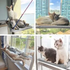 Merkloos Kattenhangmat - Kattenbed - Hangmat Kat Raam Ook Voor Radiator En Deur - Kattenmand Raam En Radiator - Katten Hangmat - Radiatorhangmat Kat Kattenstoel - Tijdelijk Met Extra Hangmat Hoes -Kattenspeelgoed Winkel 1200x1200 751