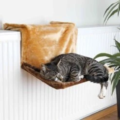 Trixie Katten Hangmat Voor De Radiator Wolwit 11 Trixie Katten Hangmat Voor De Radiator Wolwit -Kattenspeelgoed Winkel 1200x1200 760