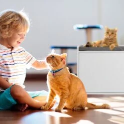 Relaxdays Kattenbak Ombouw - Met Zitkussen - Kattenhuis Wit - Kattenmeubel - Kattenkast -Kattenspeelgoed Winkel 1200x1200 791