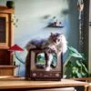 District 70 TELLY - Retro TV Krabmeubel - Instagrammable Kartonnen TV Voor Katten - 39 X 27 X 37 Cm 2 District 70 TELLY - Retro TV Krabmeubel - Instagrammable Kartonnen TV Voor Katten - 39 X 27 X 37 Cm -Kattenspeelgoed Winkel 1200x1200 793