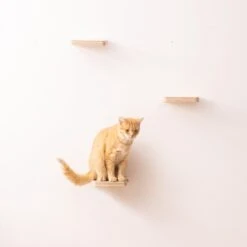 Navaris Katten Klimmuur 3 Tredes - 18 X 18 X 1,5 Cm Per Plankje - Katten Klimwand Van Hout - Inclusief Bevestigingsmateriaal -Kattenspeelgoed Winkel 1200x1200 819