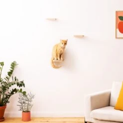 Navaris Katten Klimmuur 3 Tredes - 18 X 18 X 1,5 Cm Per Plankje - Katten Klimwand Van Hout - Inclusief Bevestigingsmateriaal -Kattenspeelgoed Winkel 1200x1200 820