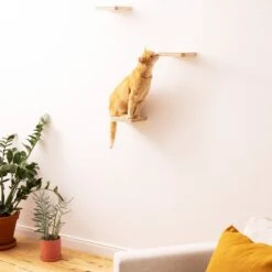 Navaris Katten Klimmuur 3 Tredes - 18 X 18 X 1,5 Cm Per Plankje - Katten Klimwand Van Hout - Inclusief Bevestigingsmateriaal -Kattenspeelgoed Winkel 1200x1200 821