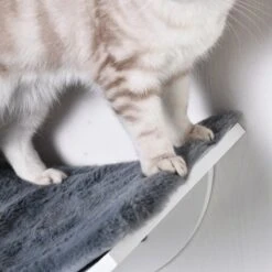 Merkloos Paws And Claws - Cat Shelf – Hangmat Kat – Kattenplank - Kattenbed - Wasbaar – Wandmontage – MDF - Wit -Kattenspeelgoed Winkel 1200x1200 862