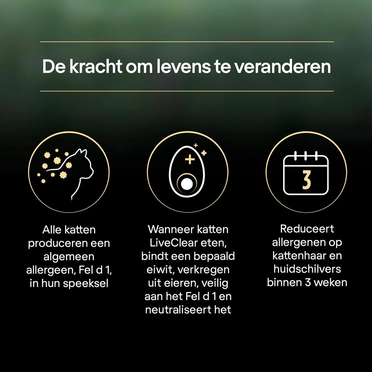 Pro Plan Adult LiveClear Katten Droogvoer - Kalkoen - 1,4 Kg 11 Pro Plan Adult LiveClear Katten Droogvoer - Kalkoen - 1,4 Kg - Afbeelding 9