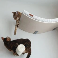 COSY AND DOZY Cat Shelf Deluxe WIT – Hangmat Kat – Maple Hout - 90 X 41 Cm - Kattenplank - Katten Muur 14 COSY AND DOZY Cat Shelf Deluxe WIT – Hangmat Kat – Maple Hout - 90 X 41 Cm - Kattenplank - Katten Muur -Kattenspeelgoed Winkel 1200x1200 882