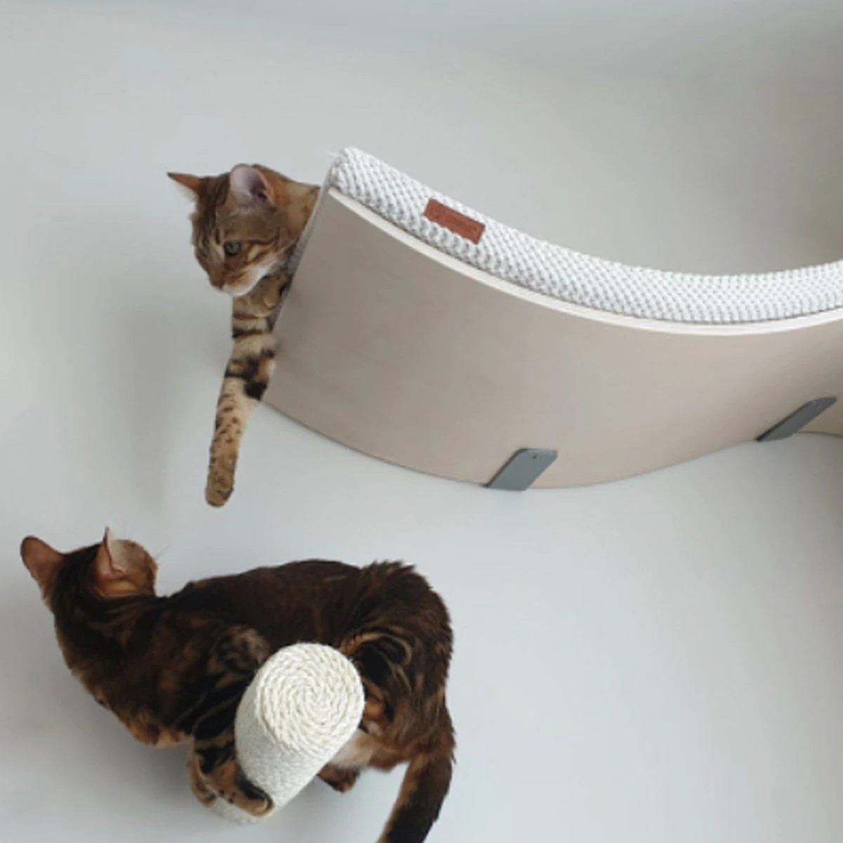 COSY AND DOZY Cat Shelf Deluxe WIT – Hangmat Kat – Maple Hout - 90 X 41 Cm - Kattenplank - Katten Muur 7 COSY AND DOZY Cat Shelf Deluxe WIT – Hangmat Kat – Maple Hout - 90 X 41 Cm - Kattenplank - Katten Muur - Afbeelding 6