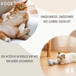 MyBuddy - Interactieve Zelf Rollende Bal - Kattenspeeltjes - Kattenspeelgoed - Bal Voor Katten - LED Lights - Speelgoed - USB - Roze -Kattenspeelgoed Winkel 1200x1200 884