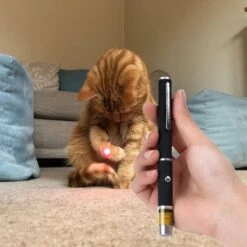 Katten Laser - Dierenwinkel Nederland -Kattenspeelgoed Winkel 1200x1200 888