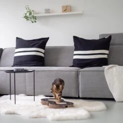 Interactief Design Krabspeelgoed Voor Katten Van Duurzaam Karton - District 70 SNAKE - Zwart -Kattenspeelgoed Winkel 1200x1200 893