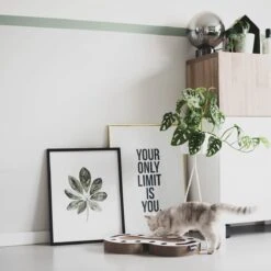 Interactief Design Krabspeelgoed Voor Katten Van Duurzaam Karton - District 70 SNAKE - Zwart -Kattenspeelgoed Winkel 1200x1200 895