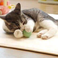 Cheerble | Mini Bal 3.0 | Roze | Zelf Rollende Bal Voor Katten | 3 Automatische Speelmodi | Interactief En Intelligentie Kattenspeelgoed | Kattenspeeltje -Kattenspeelgoed Winkel 1200x1200 901