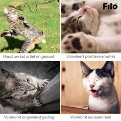 Filo Kattenspeelgoed Set 30 Stuks - Kattenspeeltje Kattentunnel - Kattenhengel - Kattenveertjes - Vis Met Kattenkruid - Kattenspeeltjes Intelligentie Kitten - Interactief Speelgoed Katten - Poezen Speeltjes -Kattenspeelgoed Winkel 1200x1200 908