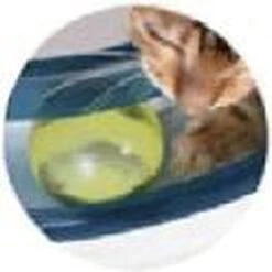 Catit Design Senses Play Circuit - Kattenspeelgoed -Kattenspeelgoed Winkel 1200x1200 909