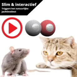 Cheerble Mini Ball 2.0 - Slimme Interactieve Zelf Rollende Bal Voor Katten - 3 Speelmodi - Kattenspeeltjes - USB Oplaadbaar - Rood -Kattenspeelgoed Winkel 1200x1200 917