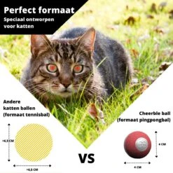 Cheerble Mini Ball 2.0 - Slimme Interactieve Zelf Rollende Bal Voor Katten - 3 Speelmodi - Kattenspeeltjes - USB Oplaadbaar - Rood -Kattenspeelgoed Winkel 1200x1200 918