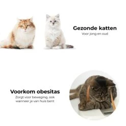 Pettadore Springs - Kattenveertjes - Kattenspeelgoed - Kattenspeeltjes - 9 Stuks -Kattenspeelgoed Winkel 1200x1200 930