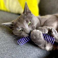 Pettadore Springs - Kattenveertjes - Kattenspeelgoed - Kattenspeeltjes - 9 Stuks -Kattenspeelgoed Winkel 1200x1200 933