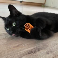 Pettadore Springs - Kattenveertjes - Kattenspeelgoed - Kattenspeeltjes - 9 Stuks -Kattenspeelgoed Winkel 1200x1200 935