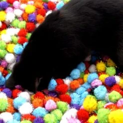 Make Me Purr Glitter Pompon Ballen (10 Stuks) - Kattenspeeltjes - Kattenspeelgoed - Speelgoed Voor Katten - Kat Speeltje Bal - Kitten Speeltjes Balletjes -Kattenspeelgoed Winkel 1200x1200 945