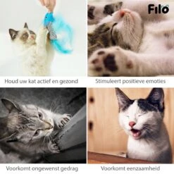 Filo Kattenhengel Set + 12 Kattenspeeltjes – Speelhengels Interactief Kattenspeelgoed – Hengel Kattenspeeltje Kittens - Speelgoed Speelhengel Vis Kat En Kitten -Kattenspeelgoed Winkel 1200x1200 960