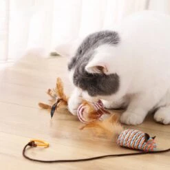 Kattenspeelgoed - Set Met 7 Kattenspeeltjes - Complete Set - Kattenhengel - Speelmuis -Kattenspeelgoed Winkel 1200x1200 965