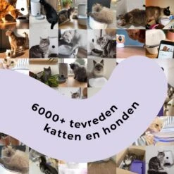 Pettadore - Laser Kattenspeeltjes - Smart Met Autoplay En Handmatig Via App -Kattenspeelgoed Winkel 1200x1200 974