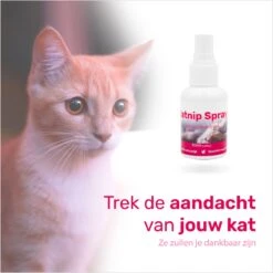 LBB - Catnip Spray 50ML - 100% Natuurlijk - CE Gekeurd - Kattenkruid Spray - Catnip Speelgoed - Valeriaan - Kat - Katten -Kattenspeelgoed Winkel 1200x1200 988