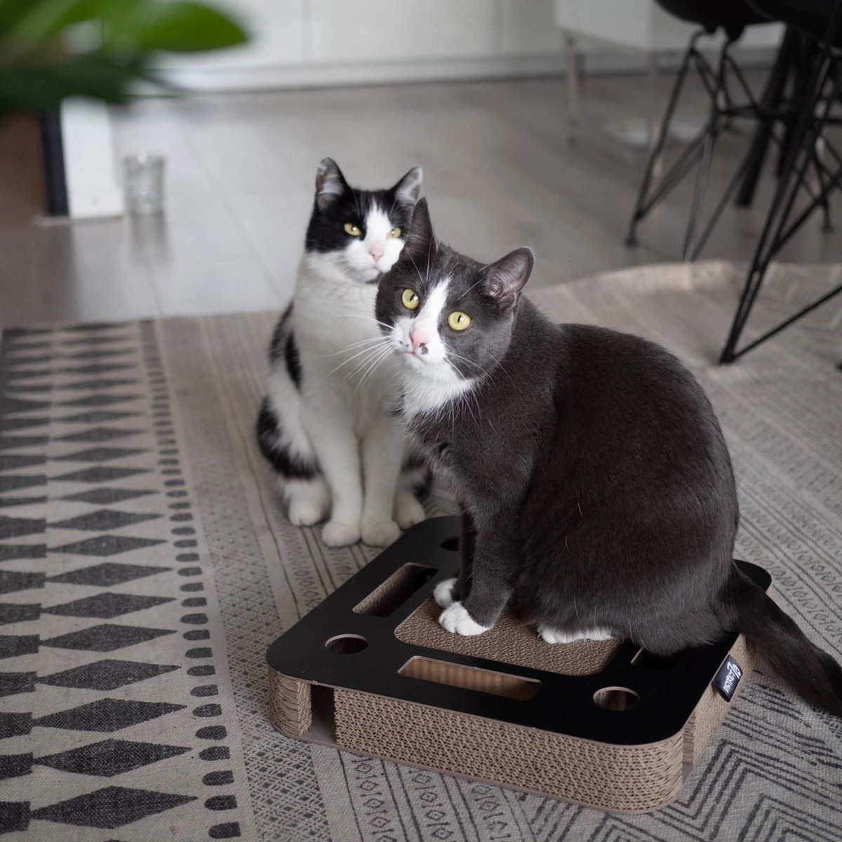 Interactief Krabspeelgoed Van Karton Met Balletje En Belletje - District 70 SPY - Zwart Of Wit 35x35x6cm - Zwart 5 Interactief Krabspeelgoed Van Karton Met Balletje En Belletje - District 70 SPY - Zwart Of Wit 35x35x6cm - Zwart - Afbeelding 3