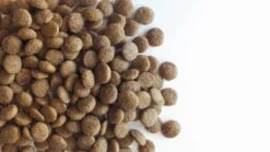 Carocroc Kat Senior 7 Kg -Kattenspeelgoed Winkel 1200x675 2