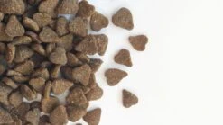 Carocroc Adult - Lam - Kattenvoer - 15 Kg -Kattenspeelgoed Winkel 1200x675 4