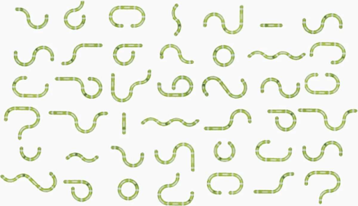 Cat-It Senses 2.0 Play Circuit - Kattenspeelgoed - Extra Lange Speelbaan 7 Cat-It Senses 2.0 Play Circuit - Kattenspeelgoed - Extra Lange Speelbaan - Afbeelding 5