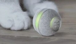 Cheerble Mini Ball 2.0 - Slimme Interactieve Zelf Rollende Bal Voor Katten - 3 Speelmodi - Kattenspeeltjes - USB Oplaadbaar - Rood -Kattenspeelgoed Winkel 1200x696 1