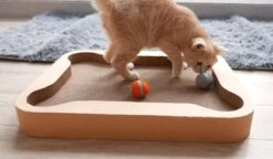 Cheerble Mini Ball 2.0 - Slimme Interactieve Zelf Rollende Bal Voor Katten - 3 Speelmodi - Kattenspeeltjes - USB Oplaadbaar - Rood -Kattenspeelgoed Winkel 1200x699 2