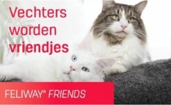 Feliway Friends - Startset - 1 Verdamper Met 1 Vulling - 48 Ml - Anti-conflict Voor Katten 17 Feliway Friends - Startset - 1 Verdamper Met 1 Vulling - 48 Ml - Anti-conflict Voor Katten -Kattenspeelgoed Winkel 1200x735