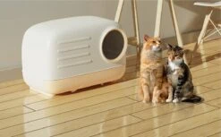 Merkloos PETLUX® XL Kattenbak Retro Design Met Lade, Schep En Opbergruimte - Grote Kattenbak - Kaki -Kattenspeelgoed Winkel 1200x742 1