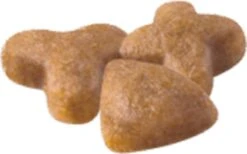 Royal Canin Sensible 33 - Kattenvoer - 2 Kg -Kattenspeelgoed Winkel 1200x746