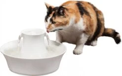 Petsafe Drinkwell Ceramic Avalon - Drinkfontein - 2 L -Kattenspeelgoed Winkel 1200x754