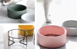 GIZMO 2x Voerbak Kat - 400 Ml - Groen - Keramische Drink- & Voerbakken Met Standaard - 13 Cm - 2 Stuks -Kattenspeelgoed Winkel 1200x773 1